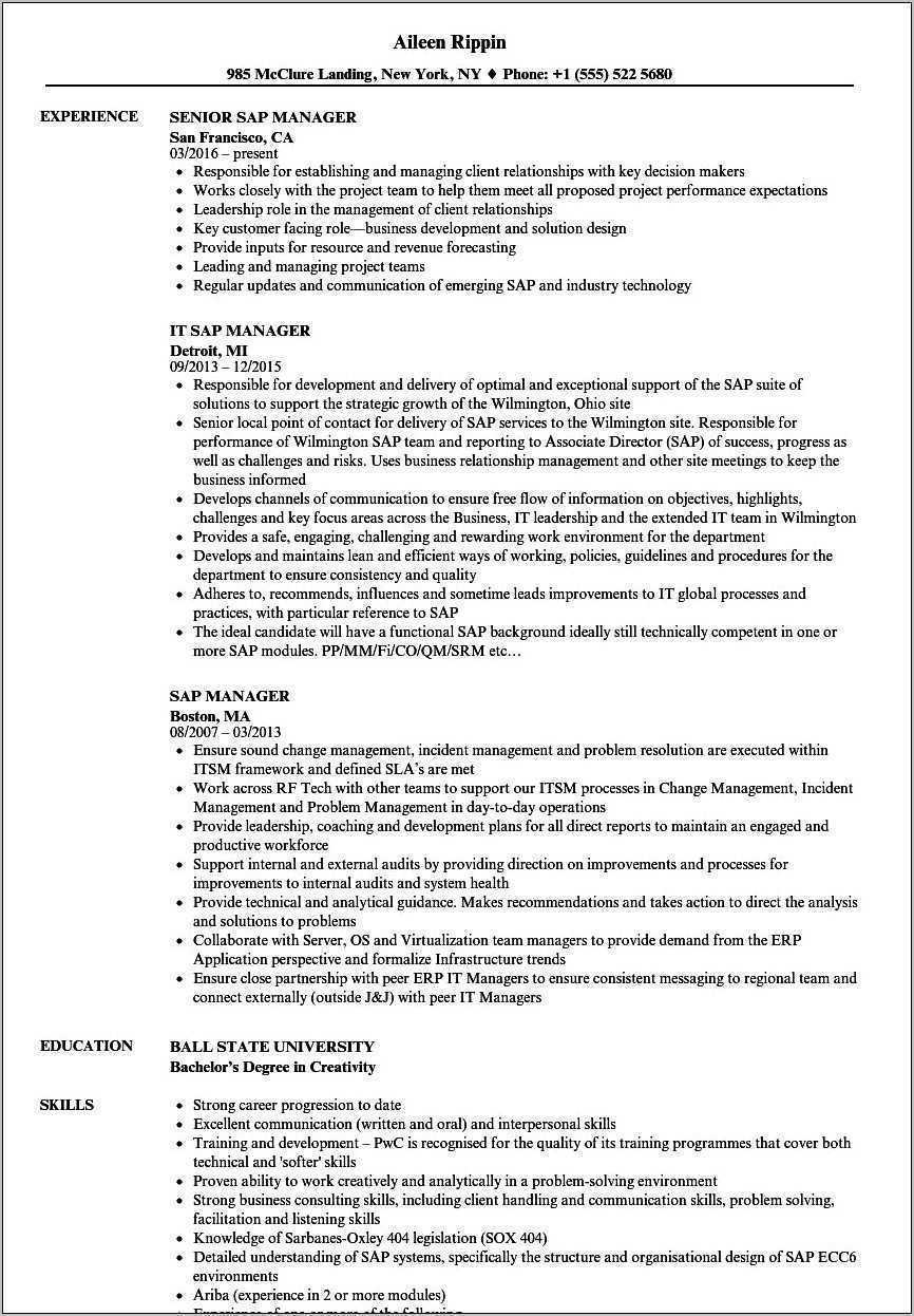 resume-format-for-sap-mm-experience-resume-example-gallery