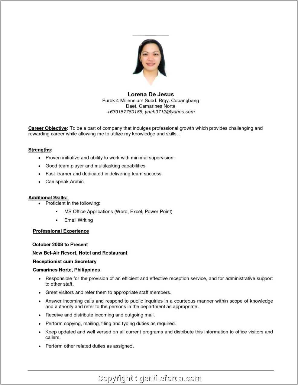 Resume Objective Examples For Any Position Resume Example Gallery