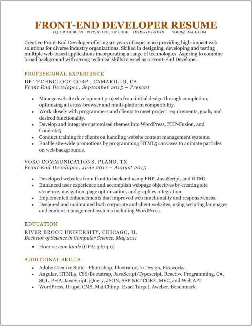 resume-summary-examples-for-director-of-conduct-resume-example-gallery