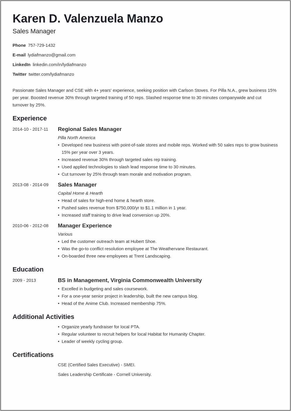 resume-summary-examples-leadership-problem-solver-resume-example-gallery