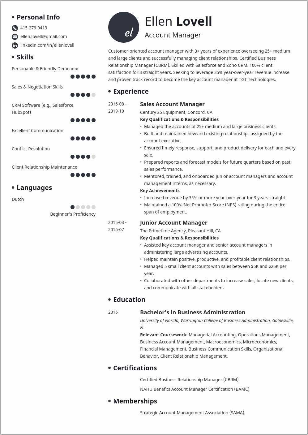 resume-summary-for-insurance-account-manager-resume-example-gallery