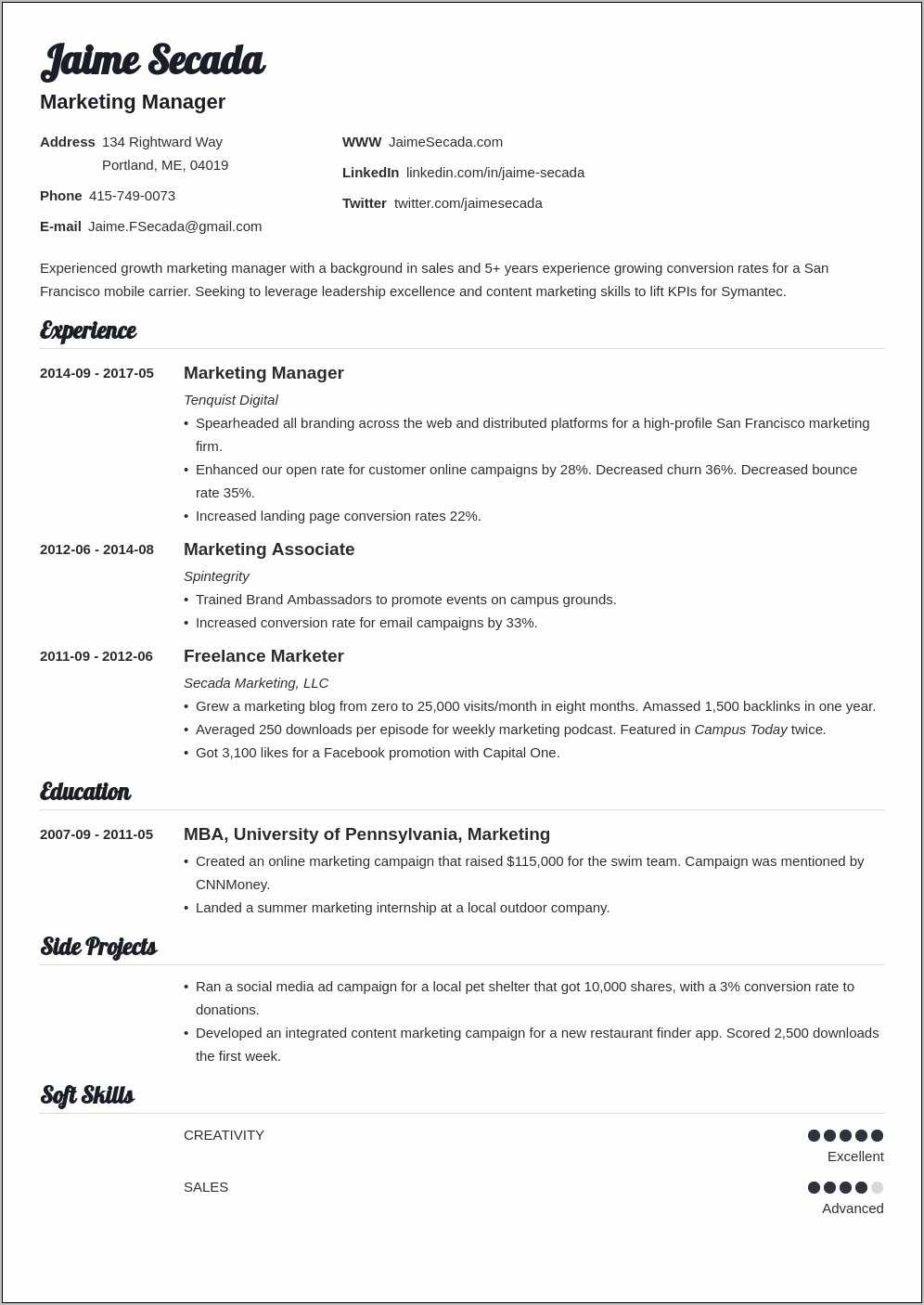 resume-summary-for-sales-and-marketing-resume-example-gallery