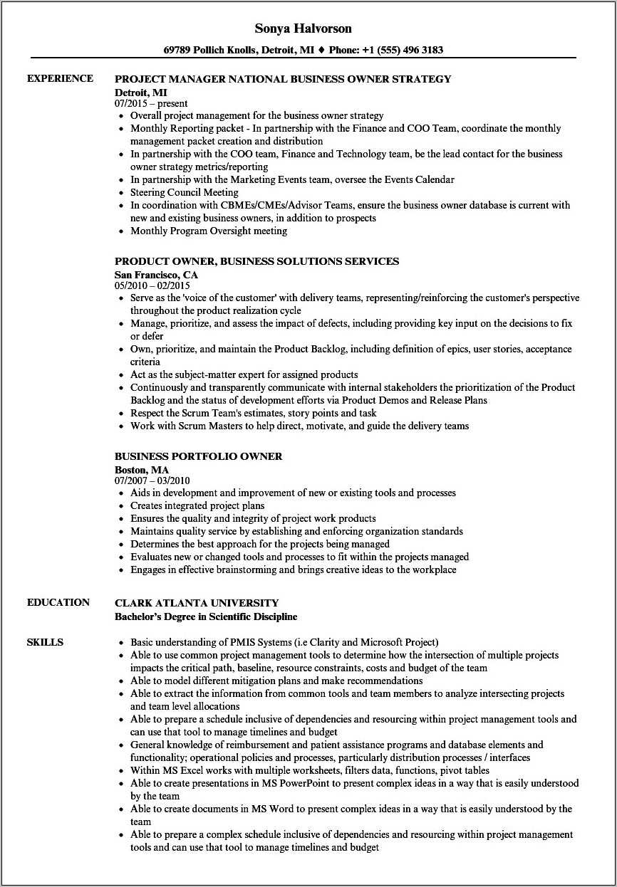 sales-business-owner-job-description-for-resume-resume-example-gallery