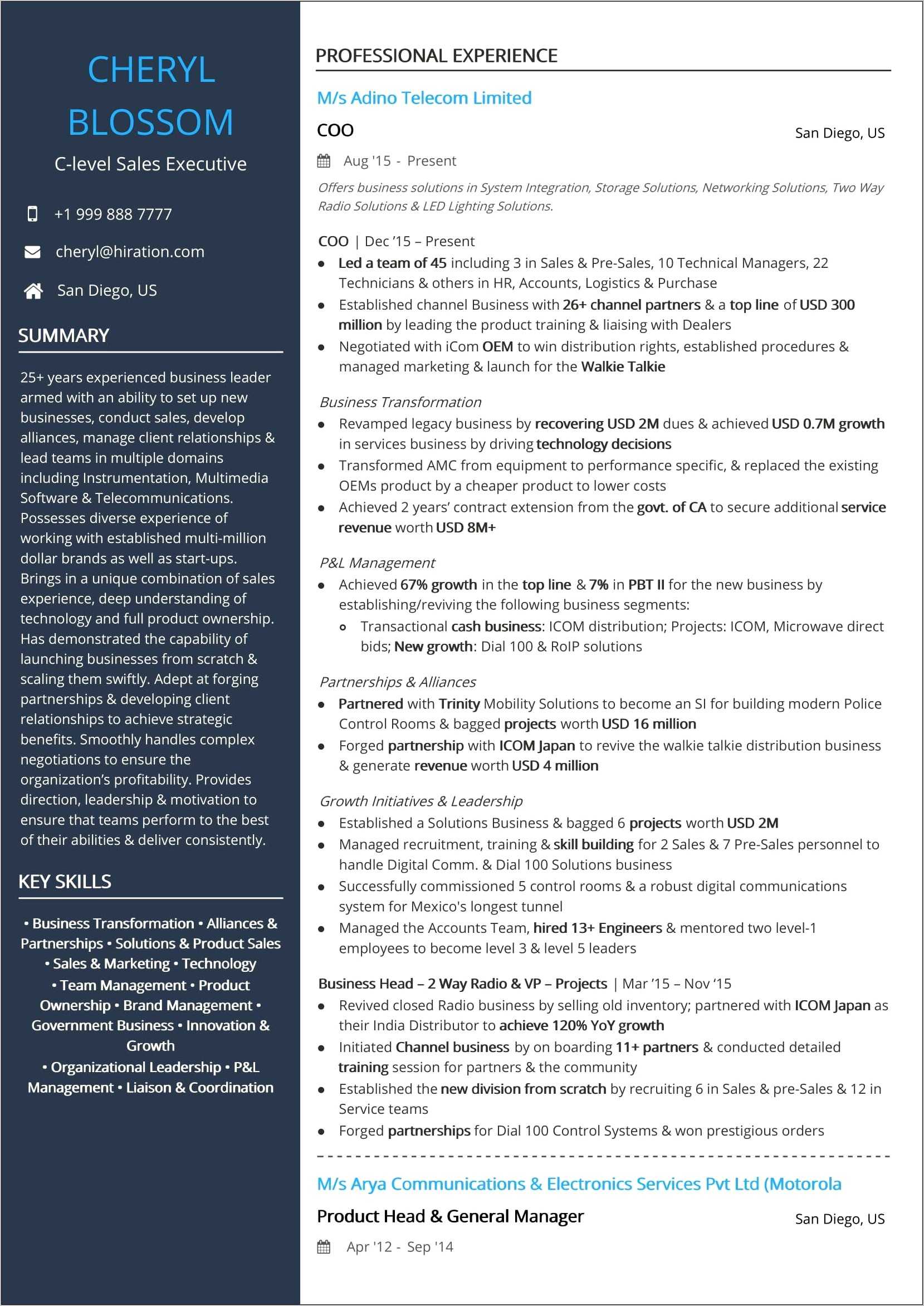 sales-executive-job-description-for-resume-pdf-resume-example-gallery