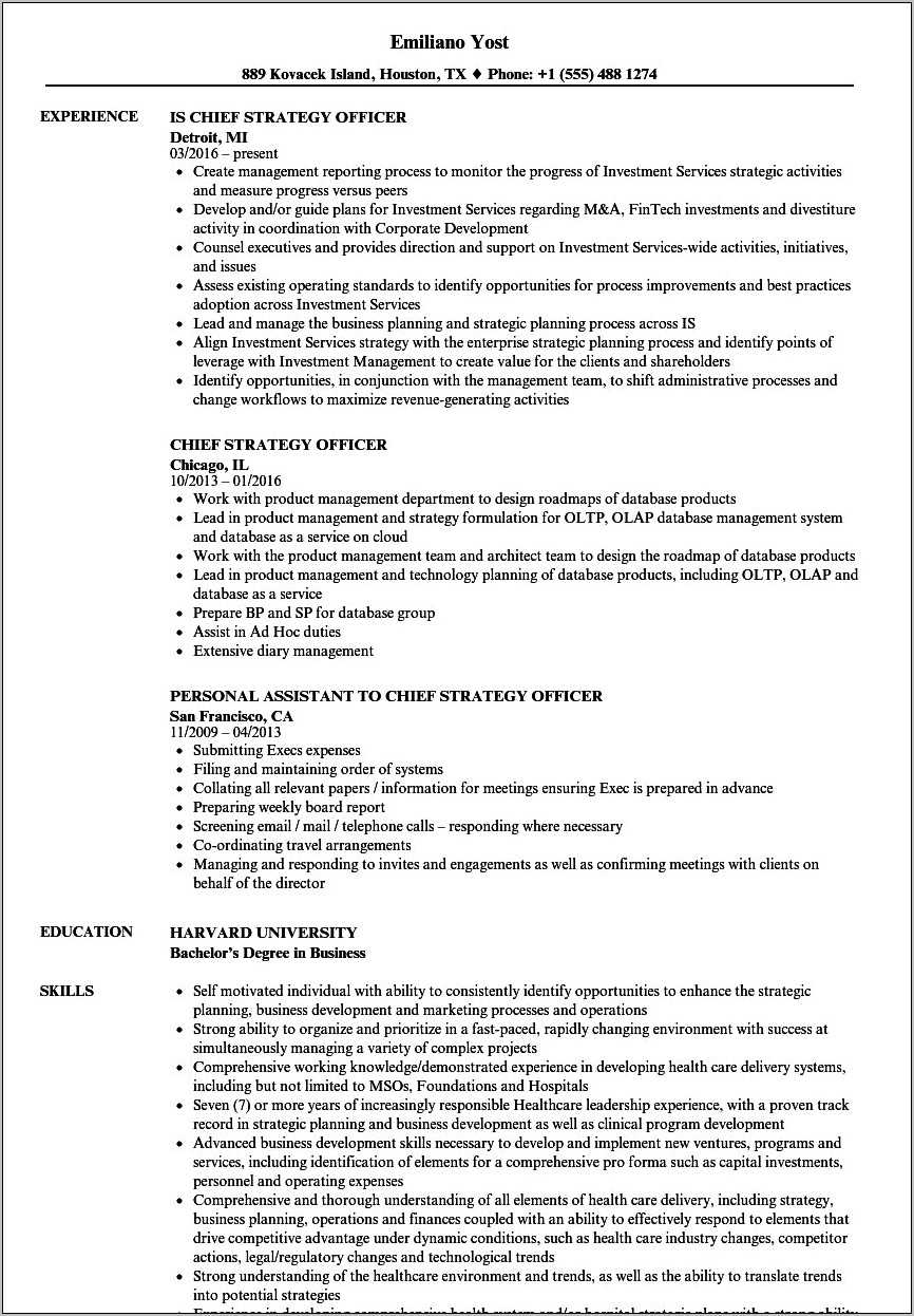 Sample Chief Human Resources Officer Resume - Resume Example Gallery