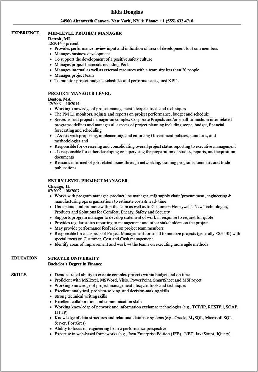 Sample It Junior Project Manager Resume - Resume Example Gallery