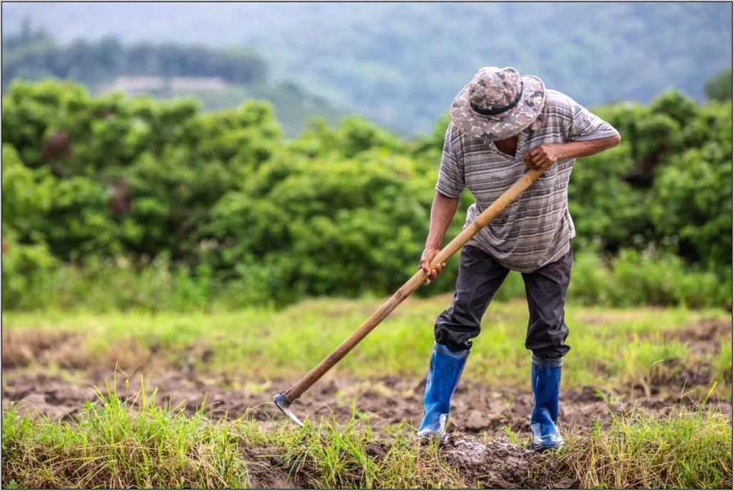 sample-of-hands-on-farming-resume-resume-example-gallery