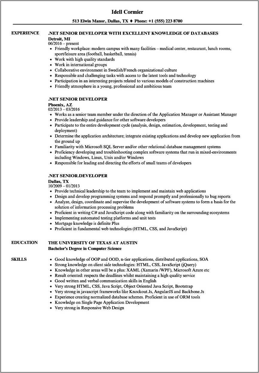 Senior Net Developer Resume Sample Jpmc - Resume Example Gallery